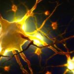 Биоразлагаемые микрокапсулы доставят фактор роста нервов для регенерации нейронов