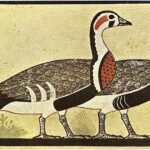 В древнеегипетской гробнице обнаружили изображение вымершей птицы