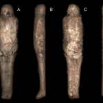 Археологи рассказали о древнеегипетской мумии, защищенной «панцирем» из грязи