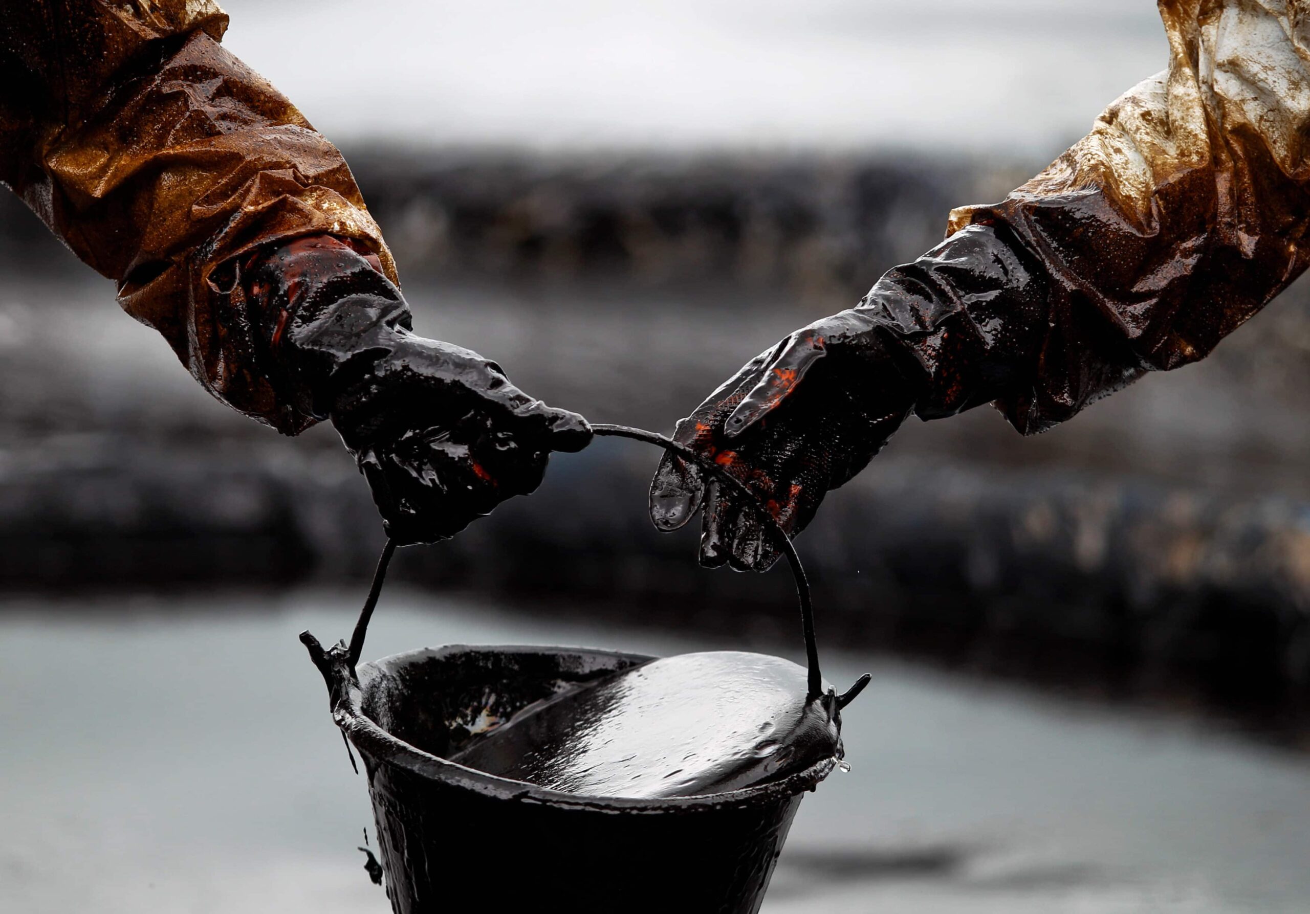 Доказана способность нефти из Западной Сибири заживлять раны