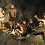 Неандертальцы, возможно, использовали те же технологии изготовления орудий, что и сапиенсы
