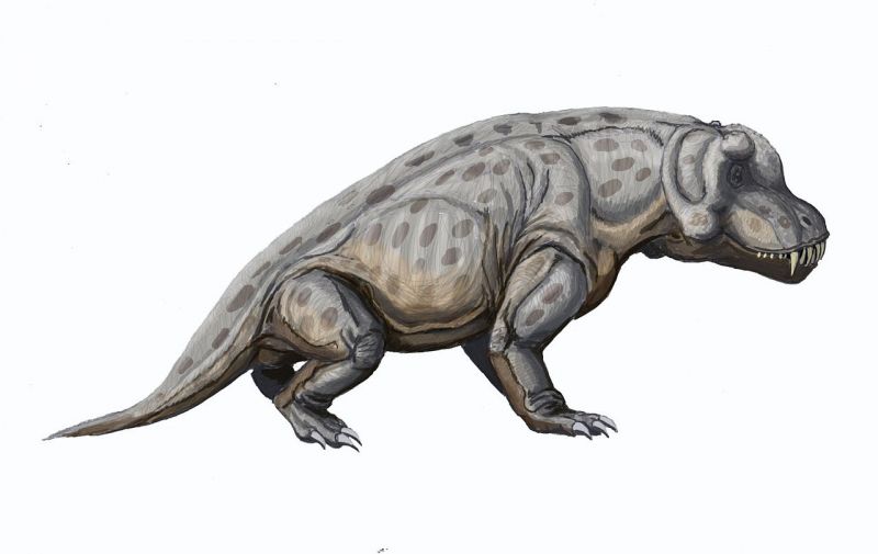 Считавшийся неповоротливым антеозавр оказался проворным охотником-убийцей