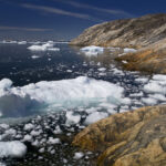 Подо льдом Гренландии обнаружили остатки растений