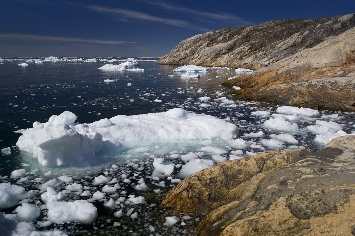Подо льдом Гренландии обнаружили остатки растений