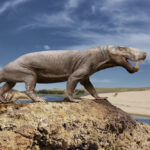 Палеонтологи предположили, что гипотеза о способе передвижения предков млекопитающих неверна