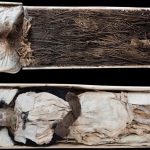 Археологи разгадали загадку недоношенного ребенка, тело которого подложили в гроб епископа Винструпа