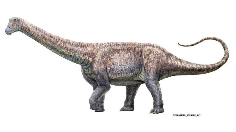 Возможный внешний вид динозавра нового вида / ©Музей естественной истории Чили