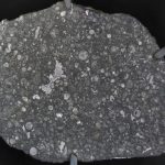 В Сколтехе изучили состав метеоритов с помощью методов масс-спектрометрии