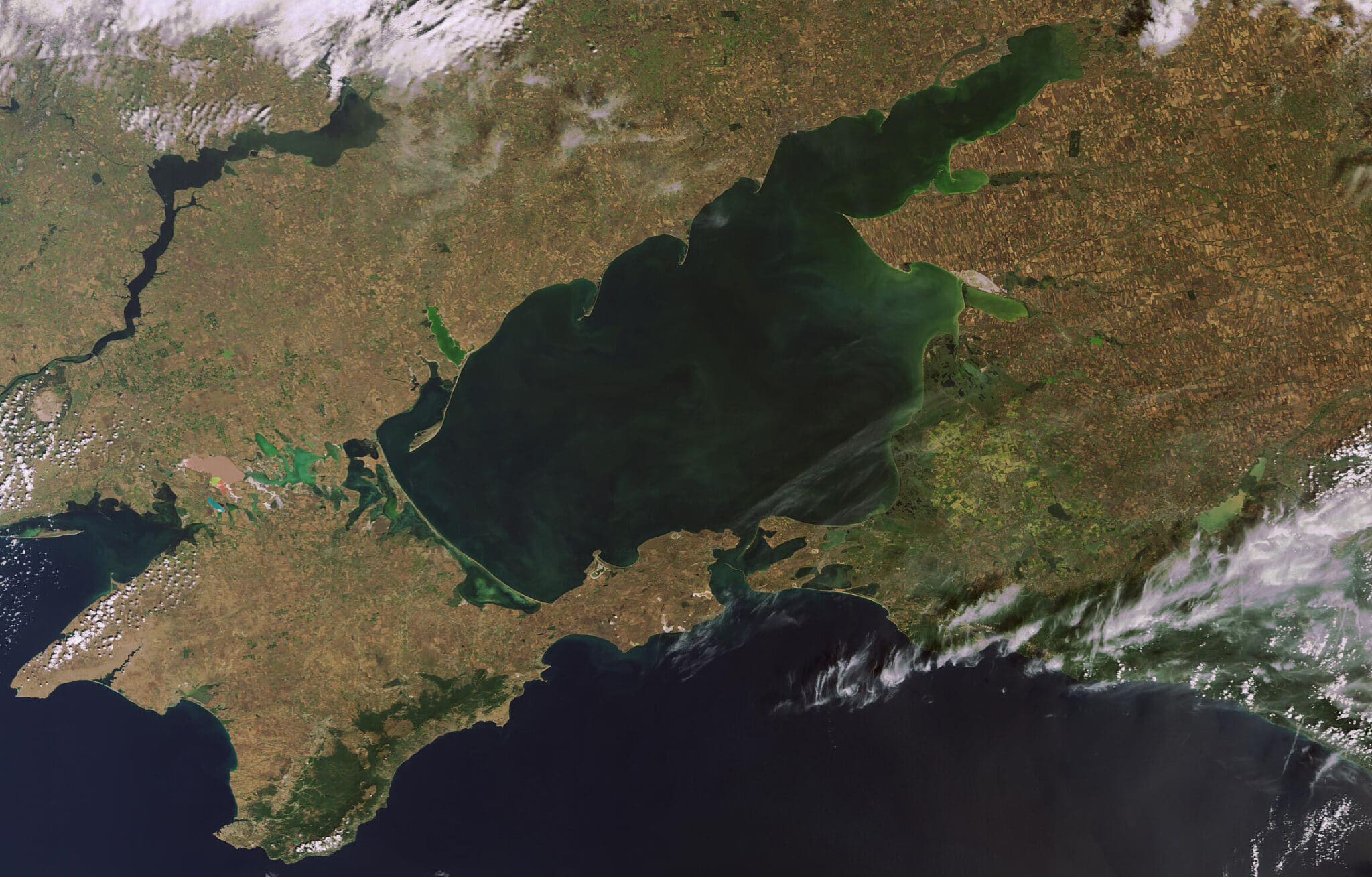 Ученые обнаружили маркер загрязнения Азовского моря