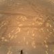 Опубликовано первое цветное фото Марса, сделанное вертолетом Ingenuity с воздуха