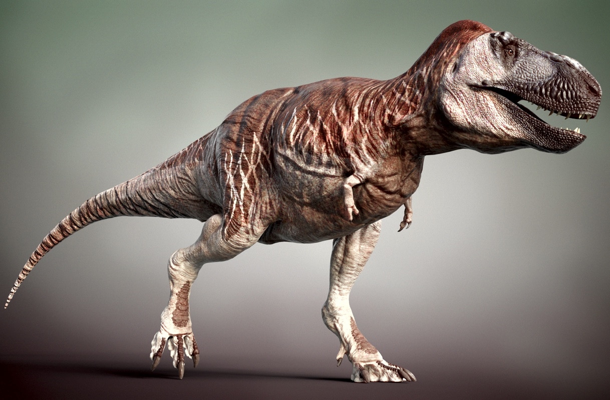 Палеонтологи пересчитали тираннозавров