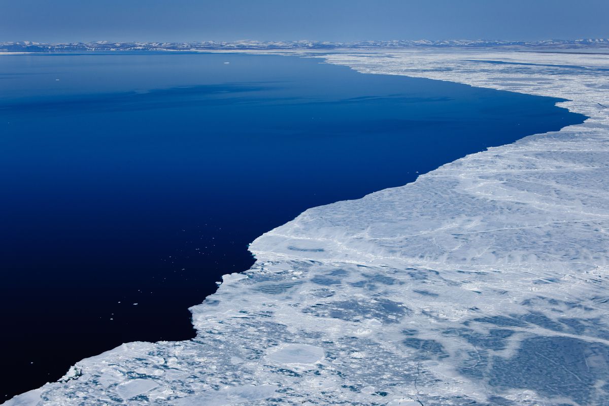 арктика море