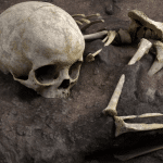 Археологи обнаружили древнейшее человеческое захоронение в Африке