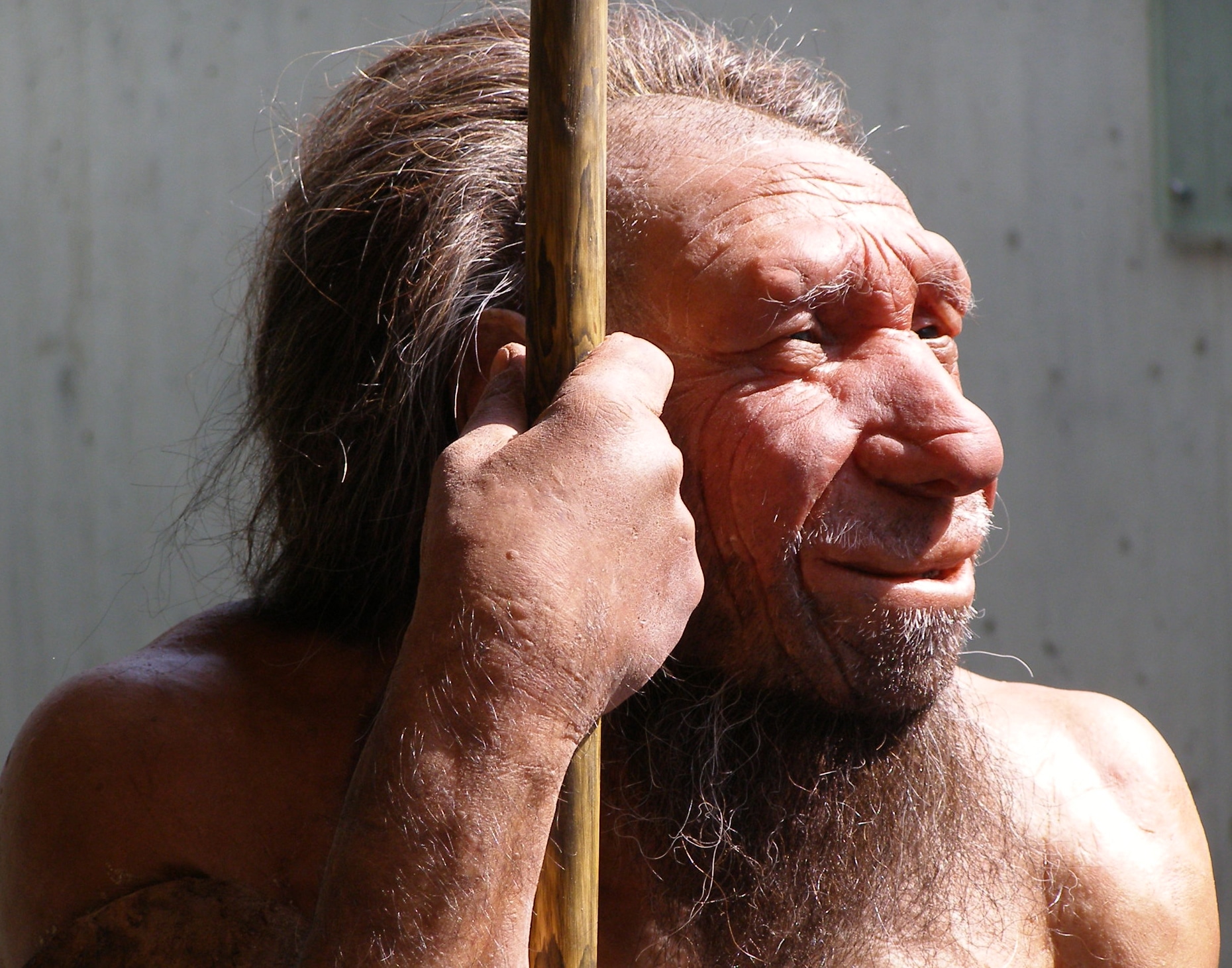 Найдено новое отличие современных людей от неандертальцев