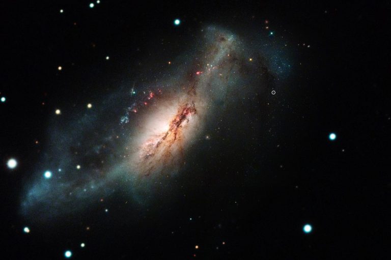 Сверхновая 2018zd, отмечена белым, находится на окраине галактики NGC2146 / ©Джозеф Депаскуале, STScI