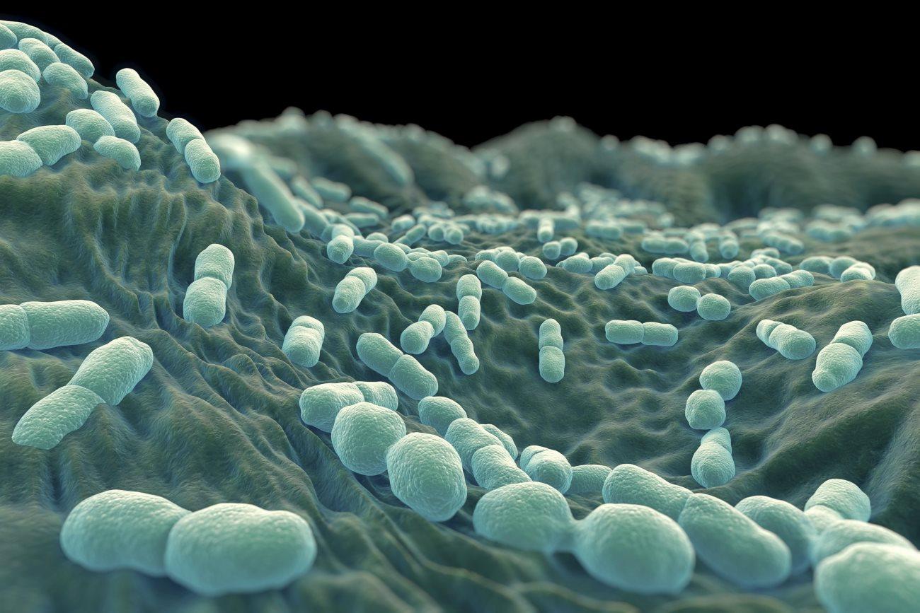 Российские ученые использовали собственные бактерии организма вместо пробиотиков