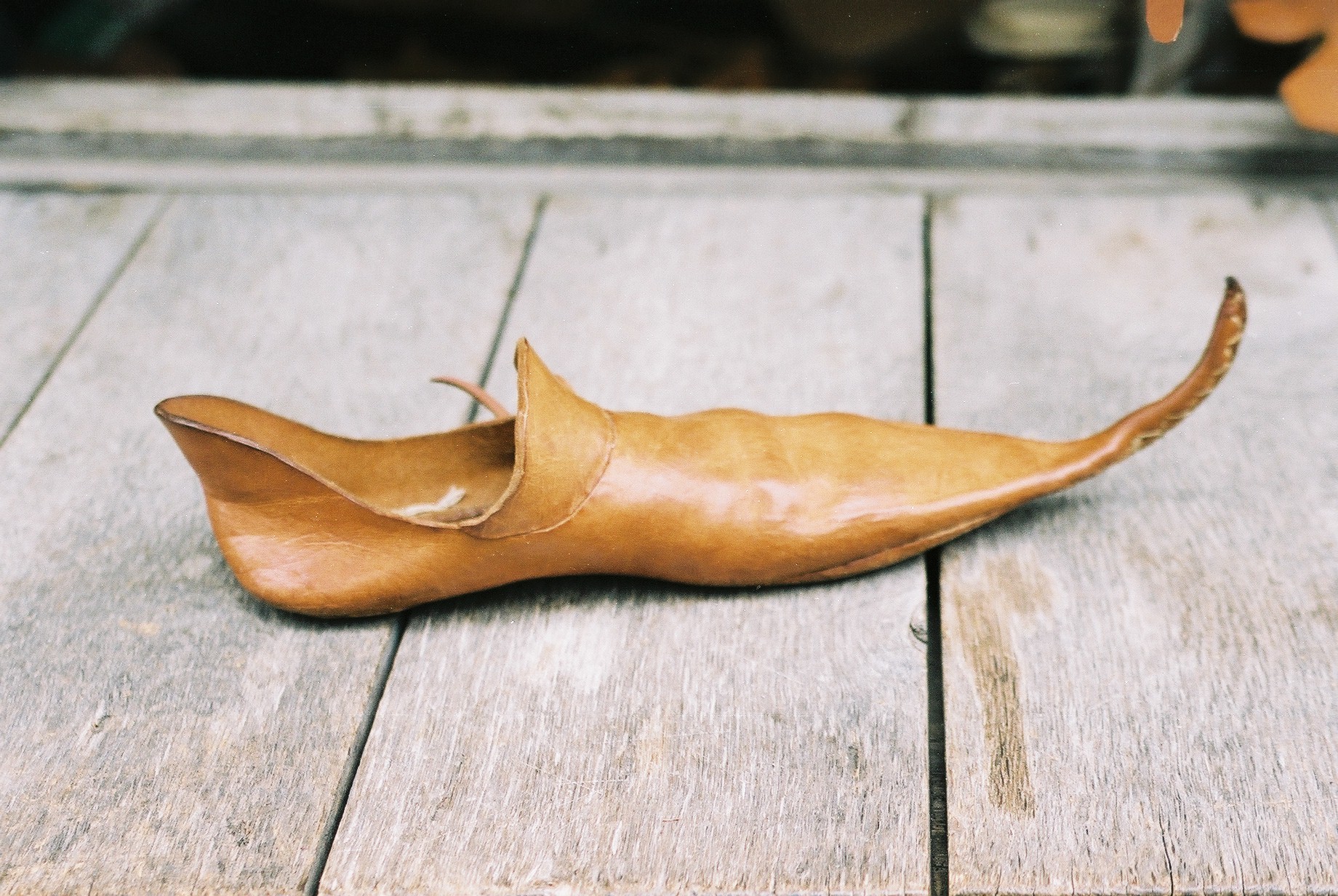 Мода на остроконечные туфли спровоцировала массовые заболевания суставов в Средние века