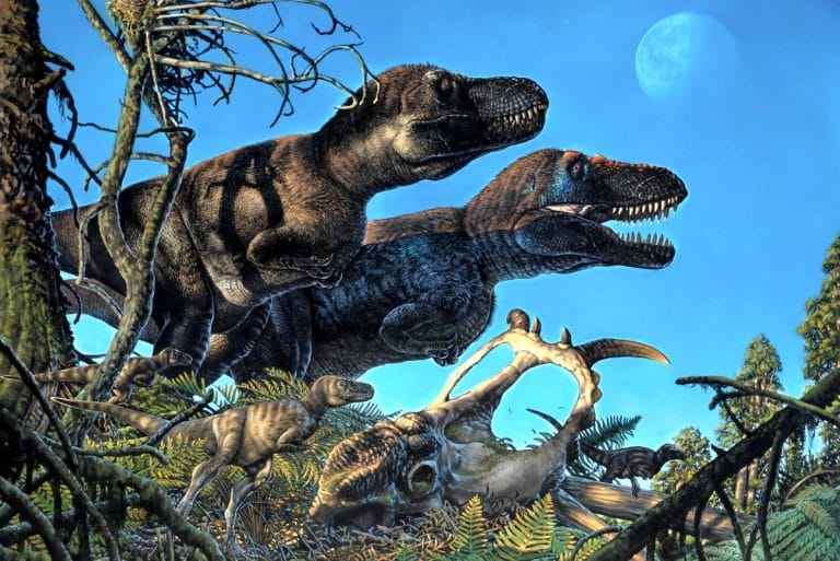 Тираннозавры с детенышем: палеореконструкция