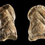 У неандертальцев обнаружили произведения искусства
