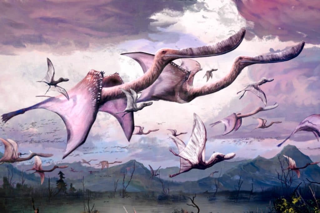 Стая Pterodaustro guinazui в полете: взгляд художника