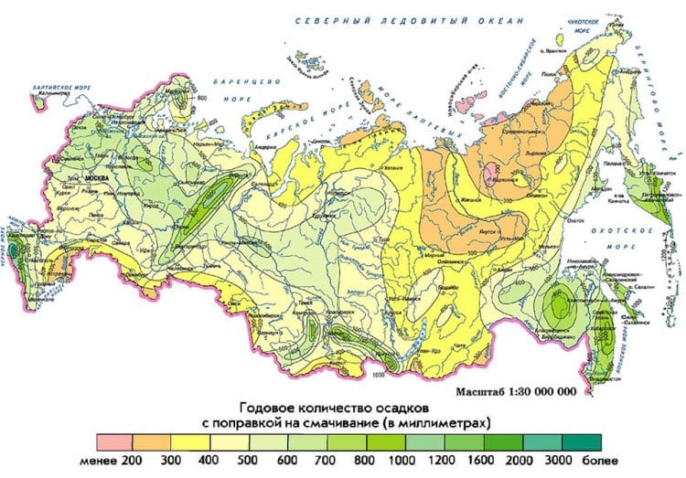 Карта где горят леса