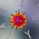 Выявлено антитело, способное нейтрализовать все известные варианты коронавируса SARS-CoV-2