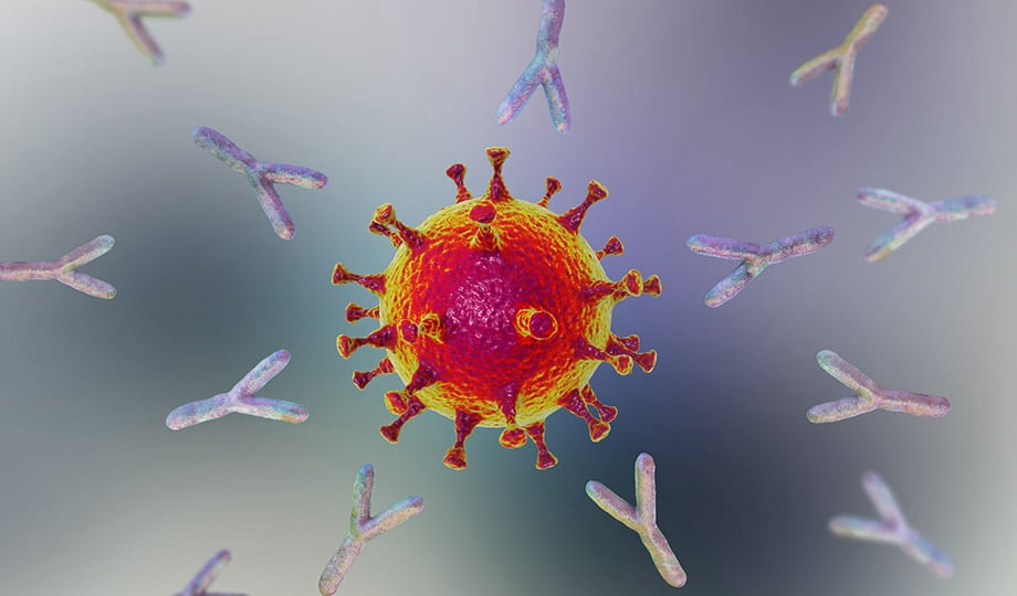 Антитела к коронавирусу