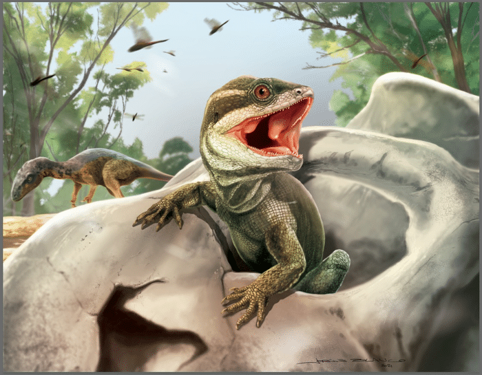 Ученые обнаружили древнего предка рептилий