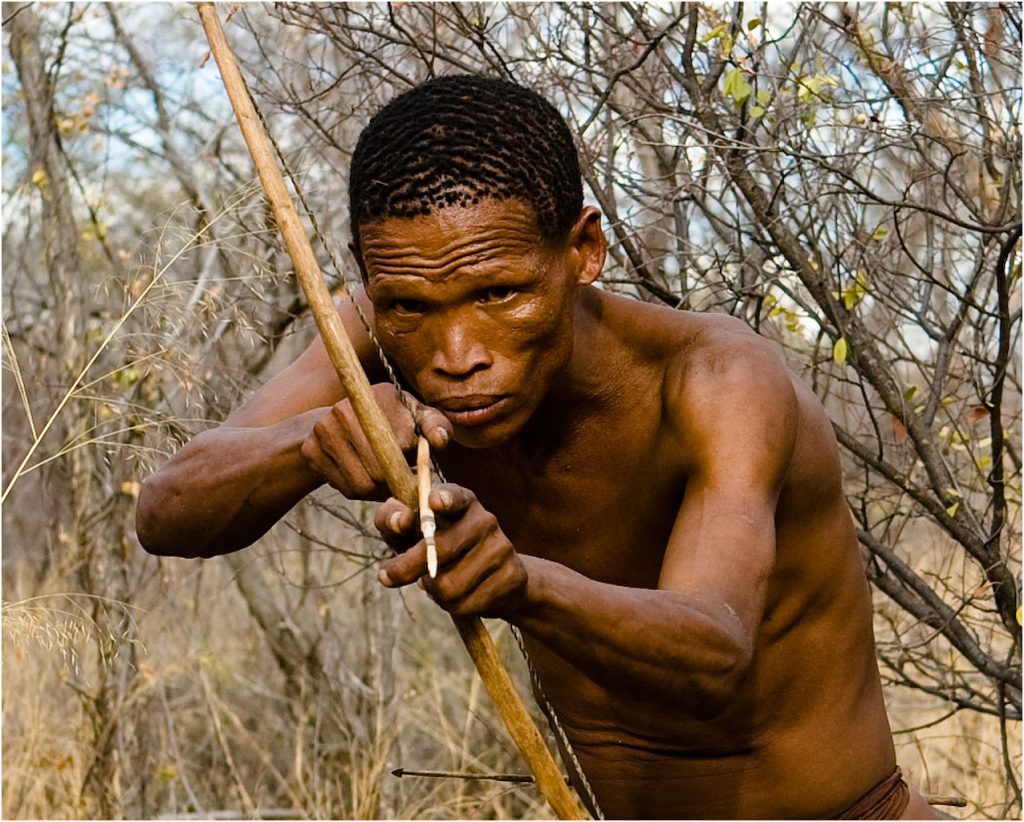 Считается, что такими же стрелами и луками бушмены в Африке пользовались 40 тысяч лет назад. Несмотря на нехватку прогресса на родине человечества, вряд ли можно отрицать, что решение заселить новые земли за пределами Африки было более чем разумным. / Фото: wikipedia.org