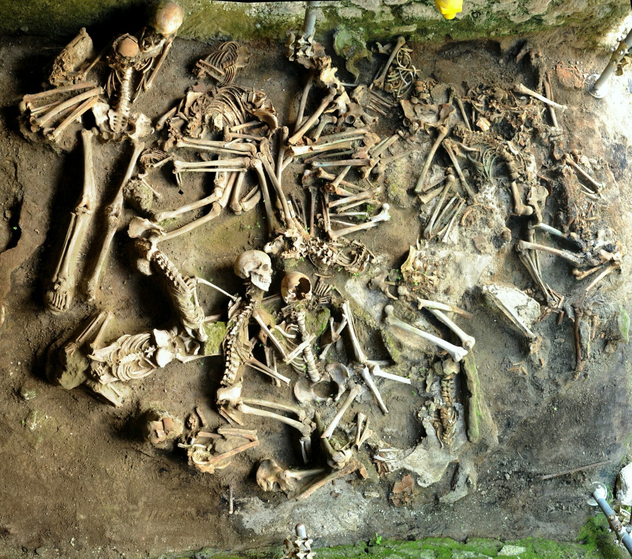 Скелеты жителей Геркуланума