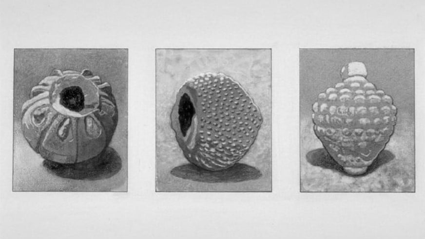 Керамические горшки, которые заполнялись серой и битумом / Фото: wikipedia.org