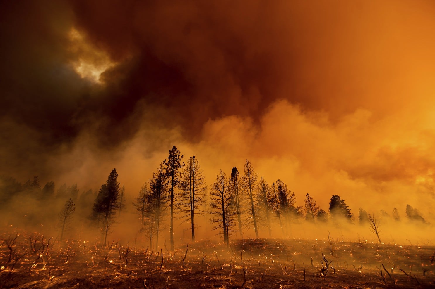 Лесные пожары незаметно убивают десятки тысяч человек в год