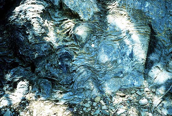 Строматолиты, следы деятельности древнейших микроорганизмов, начинают встречаться на нашей планете ранее 3,5 миллиардов лет назад. Судя по ним, жизнь возникла вскоре после формирования планеты / ©Wikimedia Commons