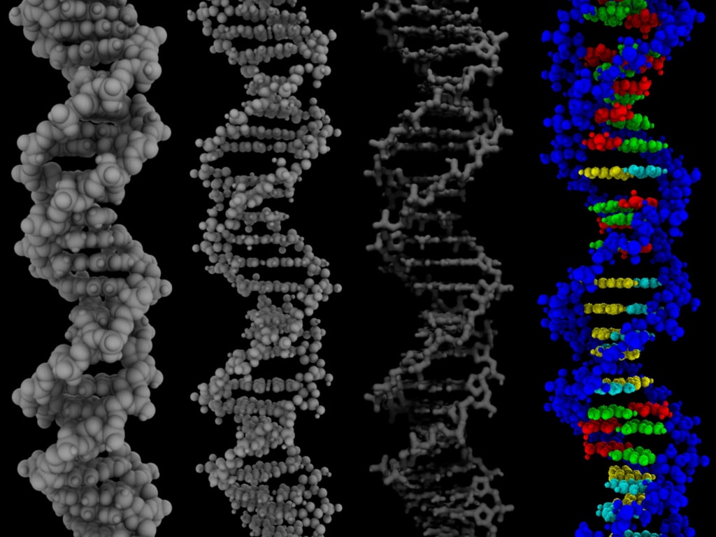 Ученые узнали об аномальных конформационных состояниях молекул ДНК