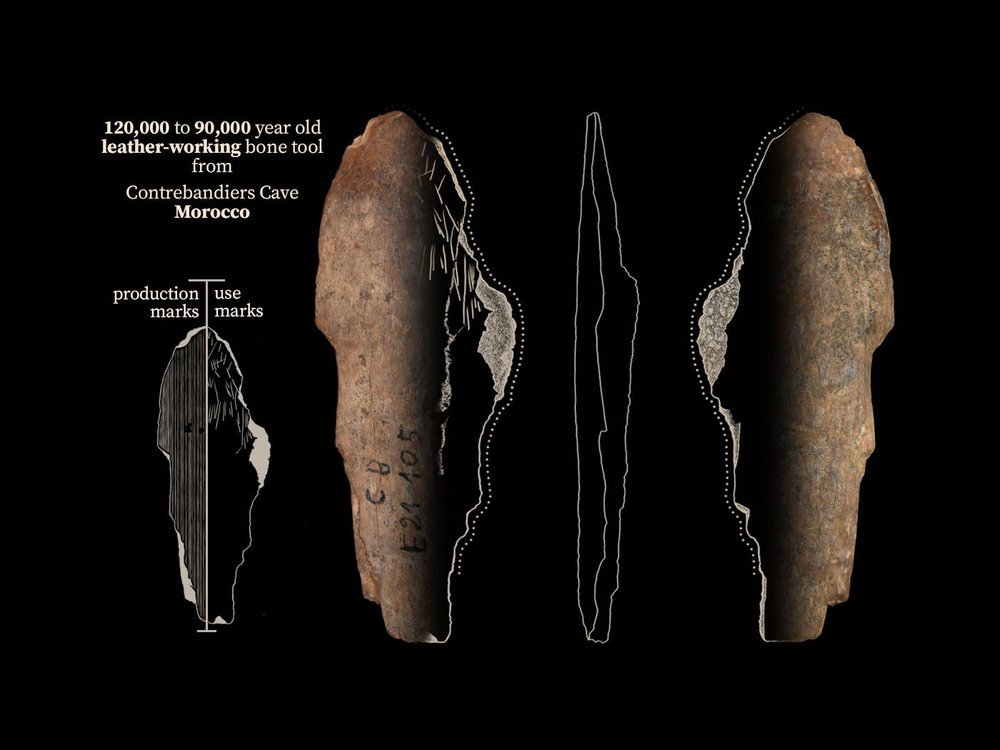 В пещере контрабандистов нашли следы производства древнейших меховых изделий