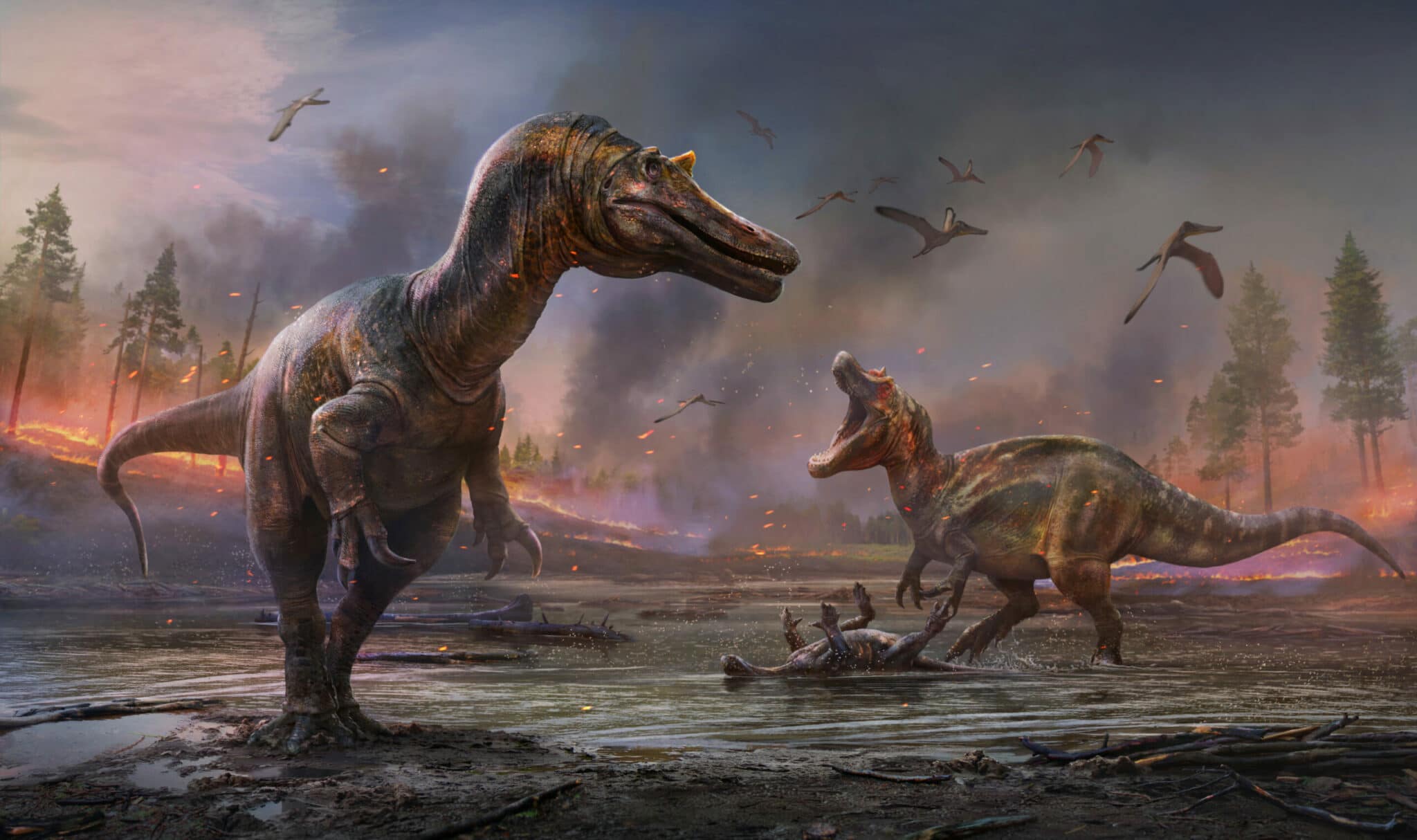 Фото Названия динозавров, более 58 качественных бесплатных стоковых фото