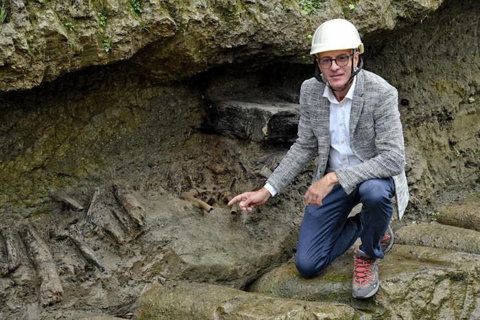 Найден скелет человека, который убегал от извержения Везувия, но не убежал