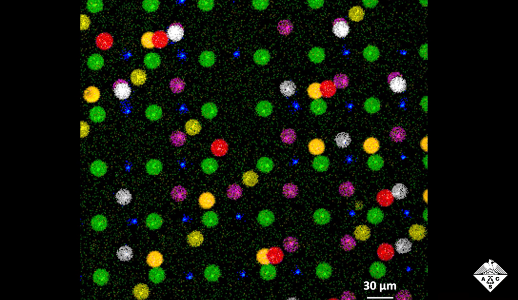 Пример записи информации. / © American Chemical Society