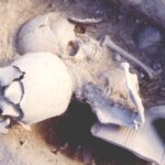 Найдены останки византийского воина, элементы челюсти которого, возможно, были золотыми