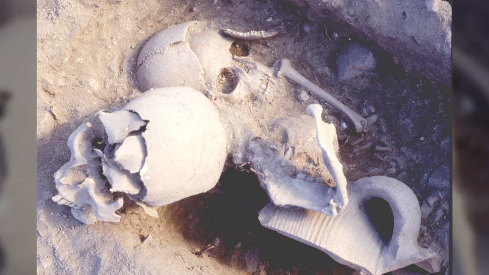 Найдены останки византийского воина, элементы челюсти которого, возможно, были золотыми