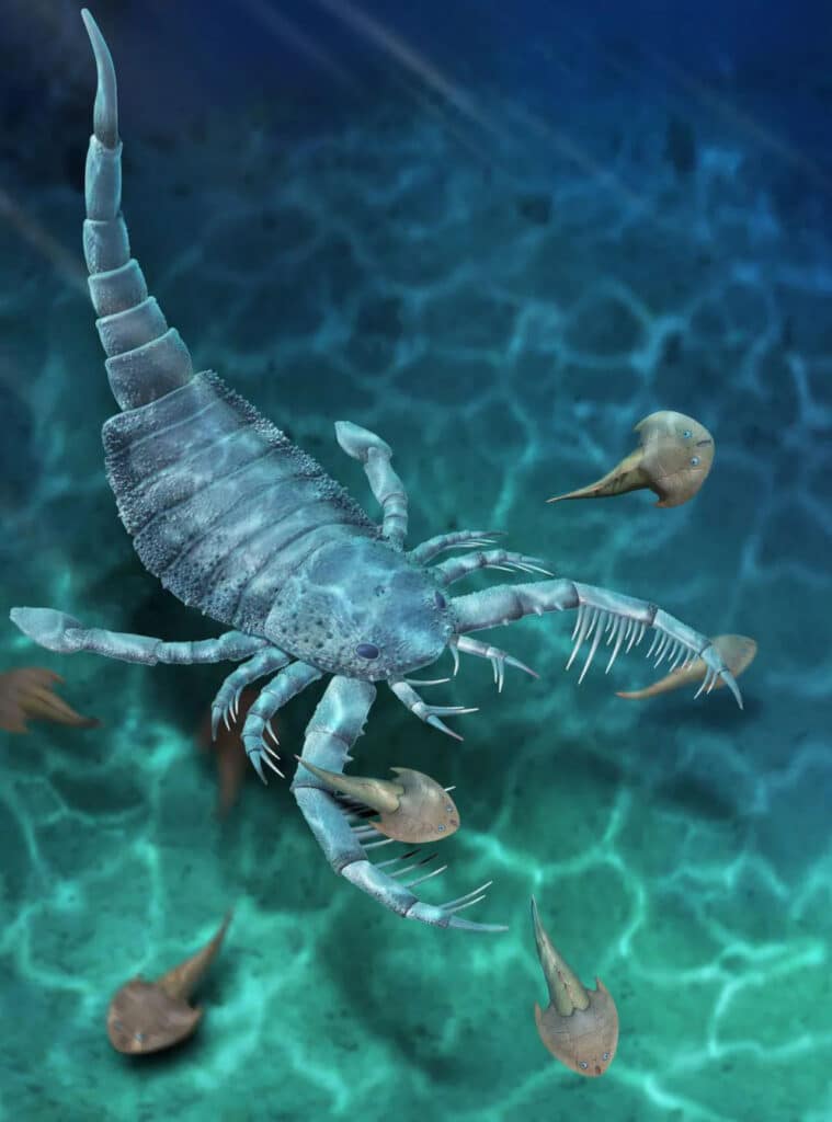 Terropterus xiushanensis в представлении художника