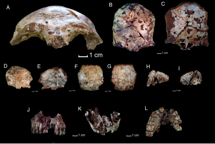 Фрагменты черепа из пещеры Там-Па-Линг / ©Fabrice Demeter et al.