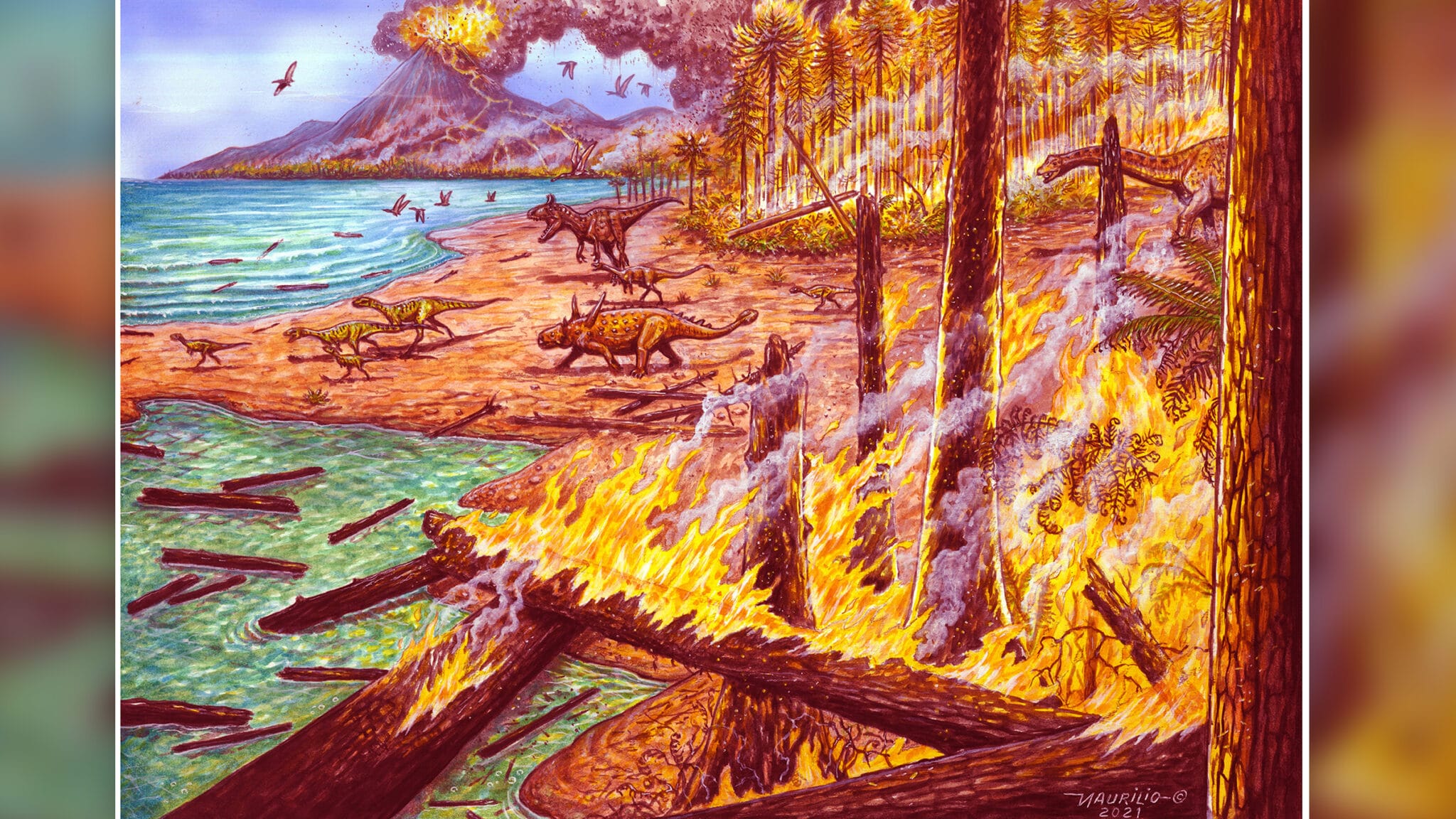 75 миллионов лет назад в Антарктиде горели леса