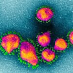 В Африке выявили новый потенциально опасный штамм коронавируса. Он уже попал в Китай