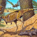 Палеонтология — наука настоящего, заглядывающая в будущее