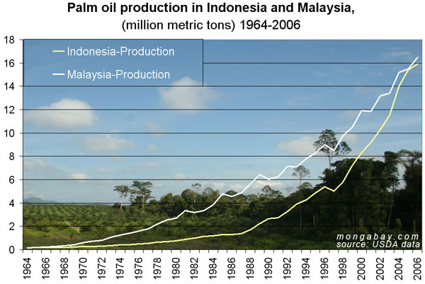 Рост производства пальмового масла в Индонезии и Малайзии / © mongabay.com