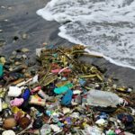 Пластик: как использовать правильно и не навредить планете
