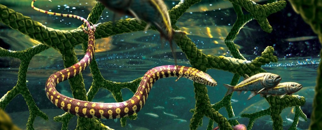 Животное, которое считали предком змеи, оказалось морской ящерицей