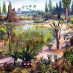 Палеоэкология: что остатки растений могут рассказать о климате прошлого
