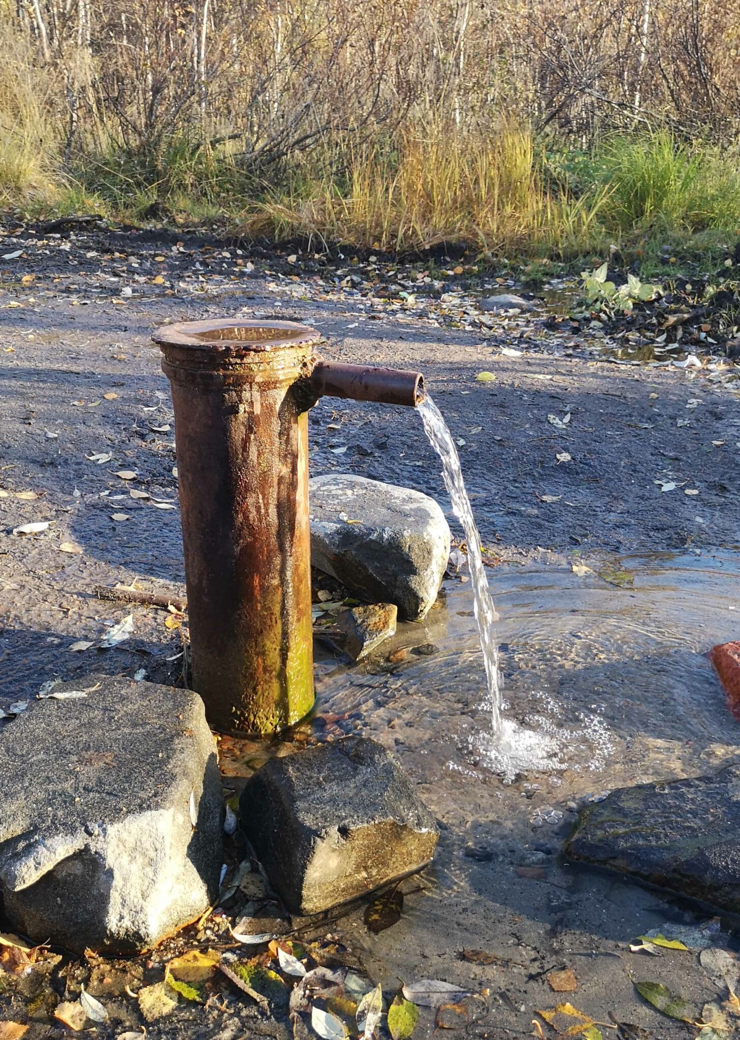 Апатитские ученые узнали, так ли чиста родниковая вода